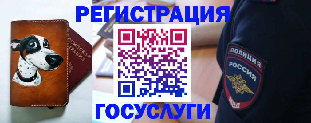 временная регистрация в квартире в Челябинской области